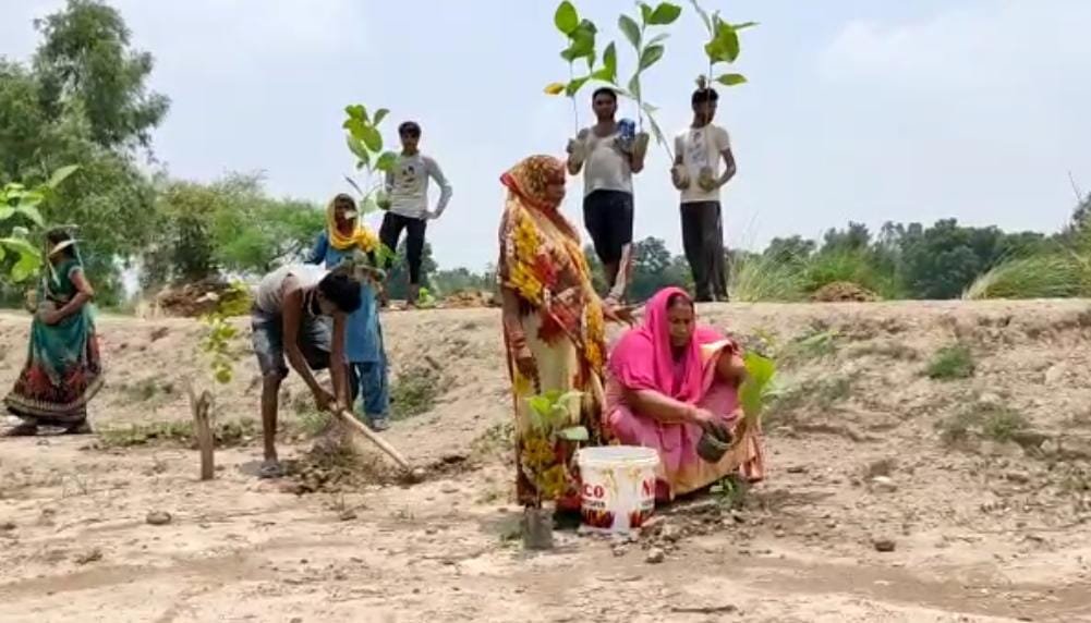 हेमलता पटेल के नेतृत्व में हुआ वृहद पौधरोपण