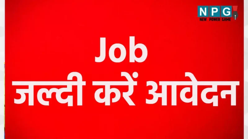 Job Alert: इस जिले 520 पदों होगा प्लेमेंट कैम्प… दसवीं, बारहवीं, स्नातक और डिप्लोमाधारी करें आवेदन…