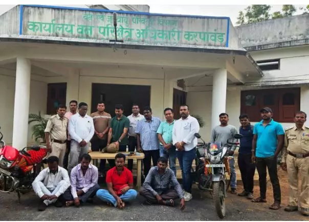 CG News: वन विभाग की बडी कार्रवाई, पेंगोलिन की तस्करी करते 4 अन्तर्राज्यीय तस्कर गिरफ्तार, उड़ीसा से छत्तीसगढ़ आकर कर रहे थे ग्राहक की तलाश