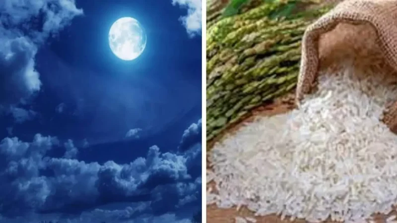 Sharad Purnima 2024: जानें शरद पूर्णिमा में किन चीजों का दान करने से आएगी सुख-समृद्धि, वहीं क्या चीजें भूलकर भी नहीं करनी चाहिए दान