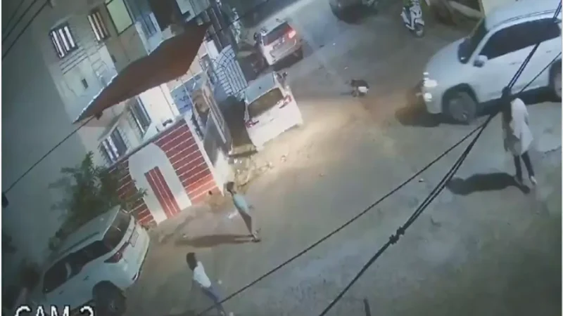 Ambilapur News: भाजपा नेता के बेटे को कार ने कुचला, हुई मौत, CCTV वीडियो आया सामने…