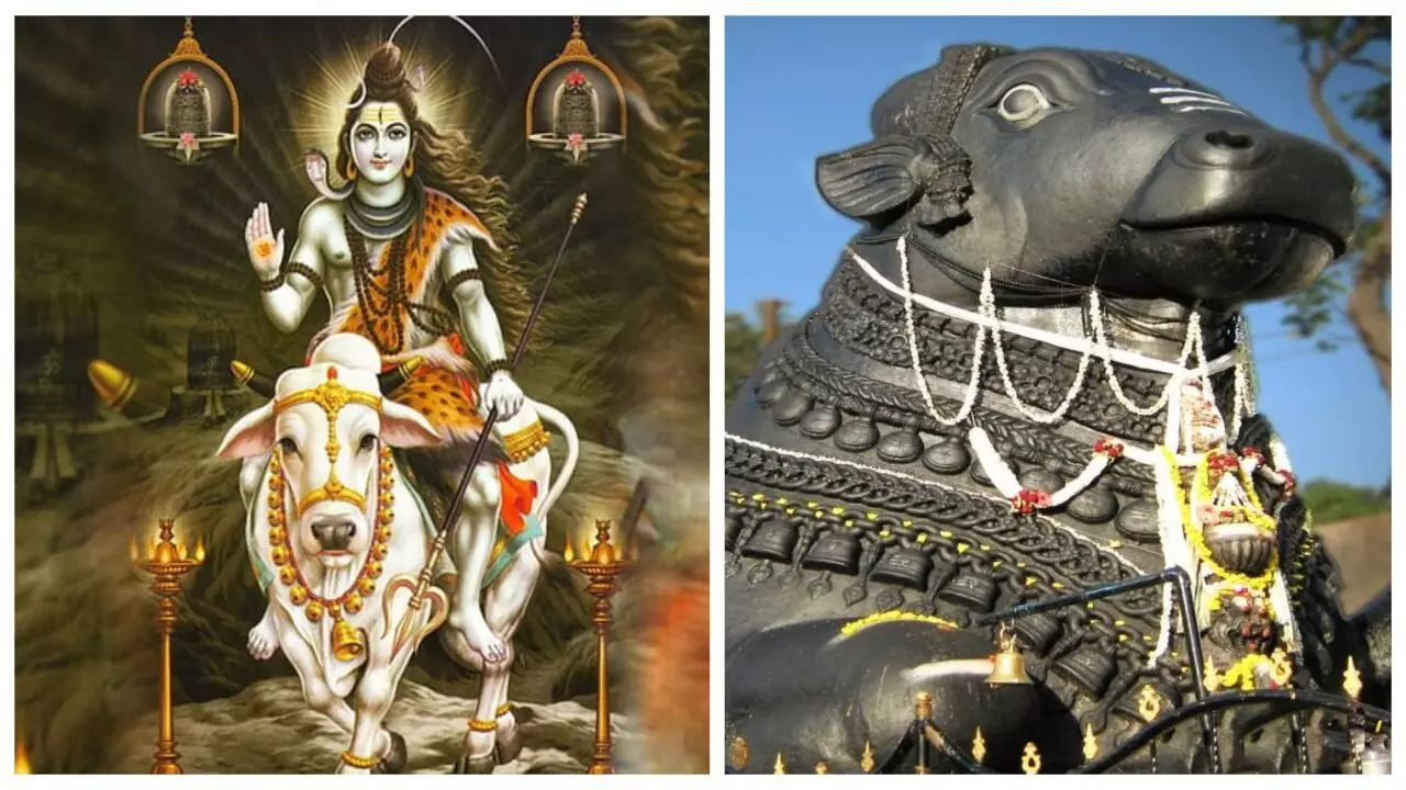 Nandi: शिलाद ऋषि की संतान हैं नंदी, जानिए कैसे बने भगवान शिव के वाहन