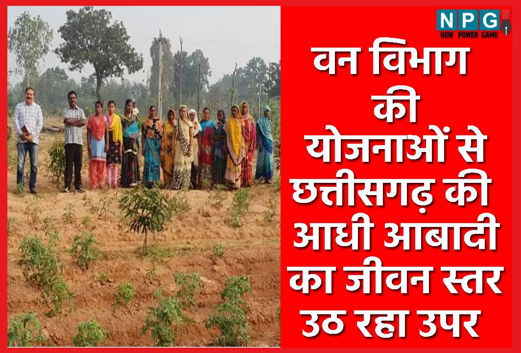 विष्णुदेव सरकार की विशेष पहलः वन विभाग की योजनाओं से छत्तीसगढ़ की महिलाएं लिख रहीं आर्थिक समृद्धि की इबारत, उपर उठ रहा जीवन स्तर