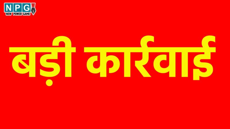 Chhattisgarh News: बड़ा एक्शन, 4 आवास मित्रों और एक रोजगार सहायक की सेवाएं समाप्त, प्रधानमंत्री आवास योजना के अपूर्ण मकानों को पूर्ण दर्शाने पर हुई कार्रवाई