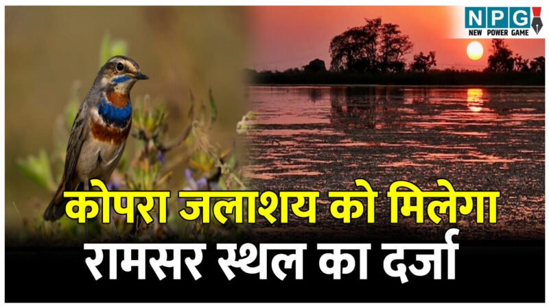 CG Kopra Dam: छत्तीसगढ़ के कोपरा जलाशय को मिलेगा रामसर स्थल का दर्जा, राज्य वेटलैंड प्राधिकरण ने भेजा प्रस्ताव