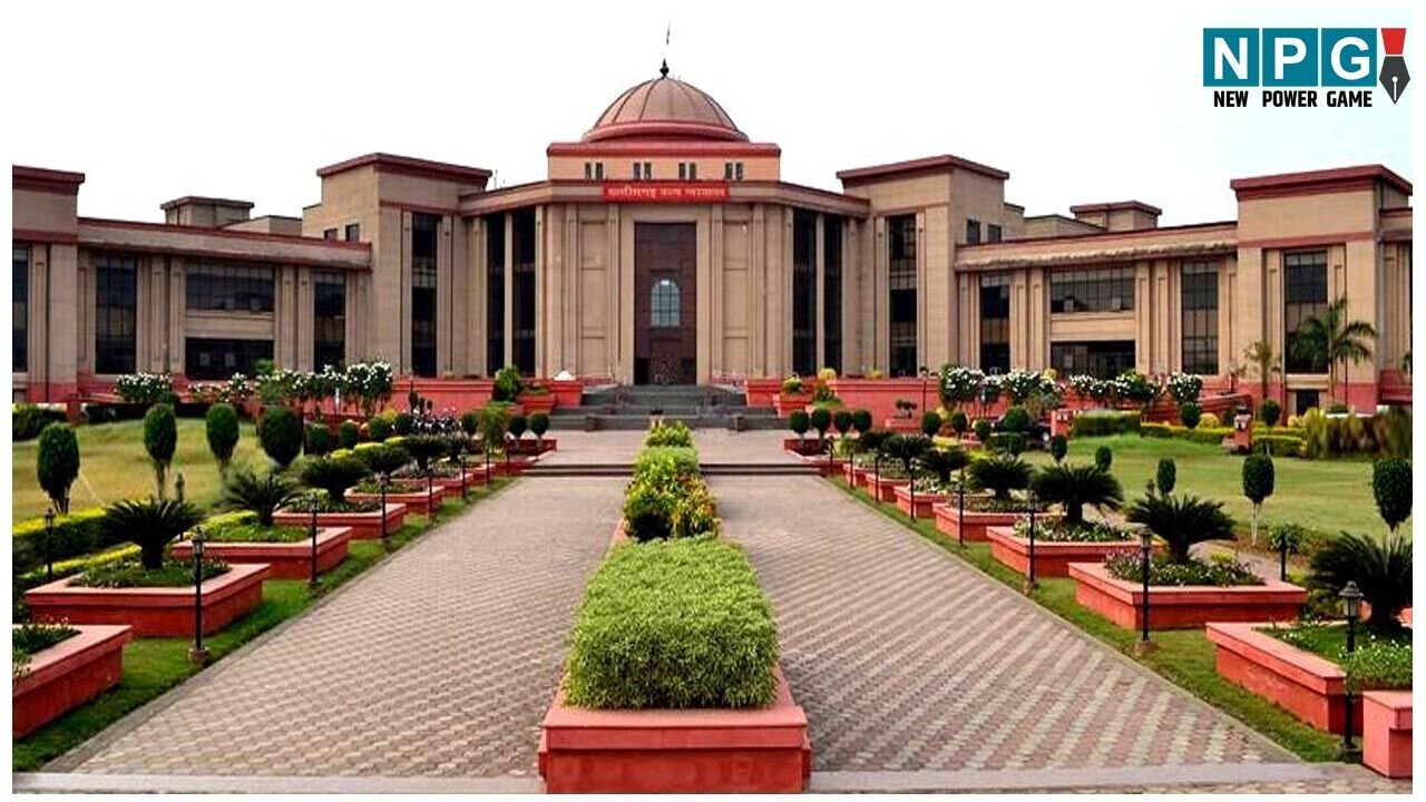 Bilaspur Highcourt News: नर्सरी स्कूलों पर हाईकोर्ट सख्त: राज्य सरकार की गाइडलाइन को बताया कागजी औपचारिकता, नियम बनाने के दिए निर्देश