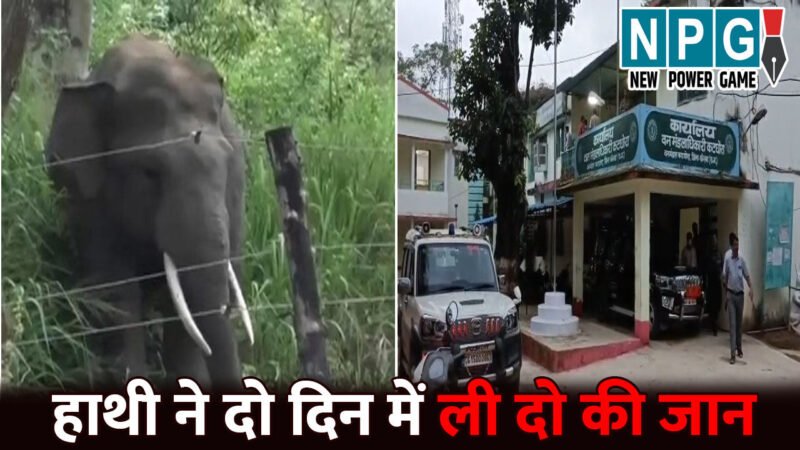 Korba Elephent Attack: हाथी ने दो दिन में ली दो की जान…महिला को कुचलकर उतारा मौत के घाट, पति ने भागकर बचाई अपनी जान