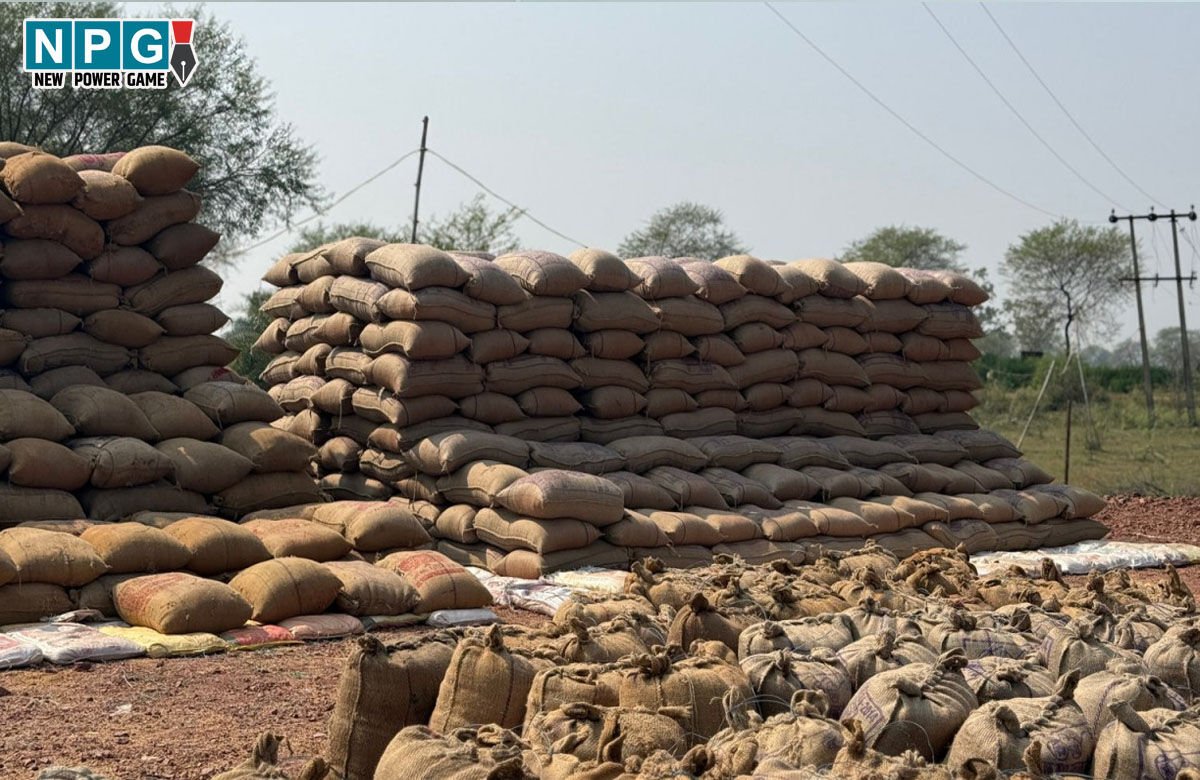 CG Paddy News: अवैध धान को लेकर राज्यभर में एक्शन, प्रशासन सख़्त, कई जिलों में बड़ी कार्रवाई