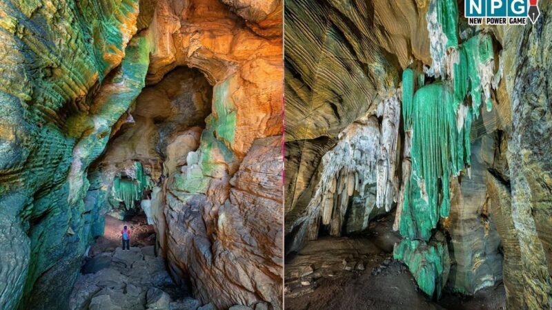 'Green' Cave: OMG-छत्तीसगढ़ में मिली 'ग्रीन' गुफा, सूक्ष्मजीवी जमाव से ढकी हरी दीवारें, पर्यटन के लिए जल्द ही खोला जाएगा… मिलेगा रोजगार…