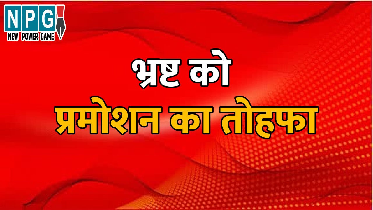 CG Education News: BEO और चपरासी ने सरकारी खजाने को लगाया 29 लाख का चूना, कार्रवाई के बदले सरकार ने दिया प्रमोशन का ईनाम