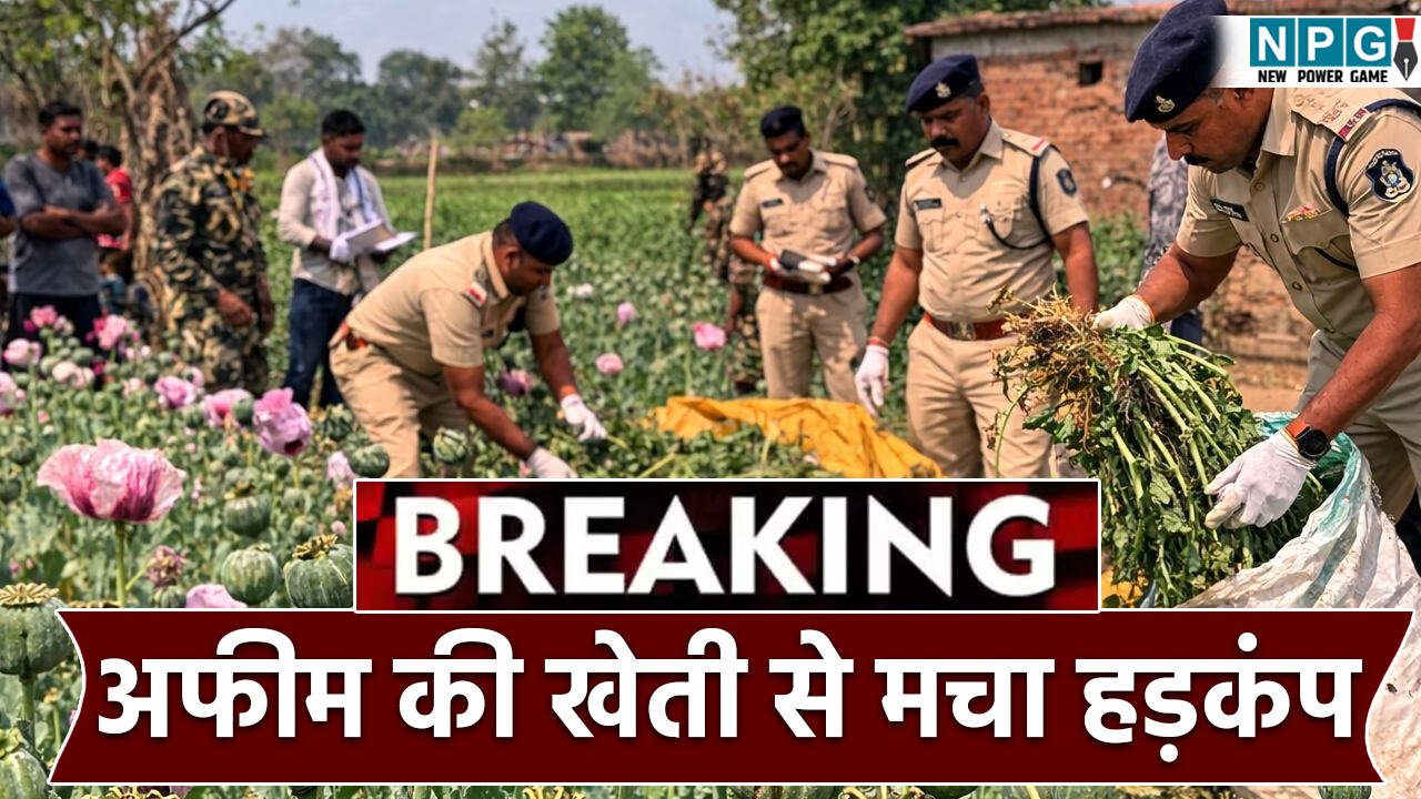 CG Afeem Ki Kheti Case: अब नौ एकड़ में मिली अफीम की खेती! छत्तीसगढ़ में मचा हड़कंप