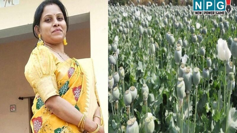 Durg Nilambit News: दुर्ग अफीम की खेती, बड़ा एक्शन, महिला अधिकारी निलंबित, सरकार की कार्रवाई…