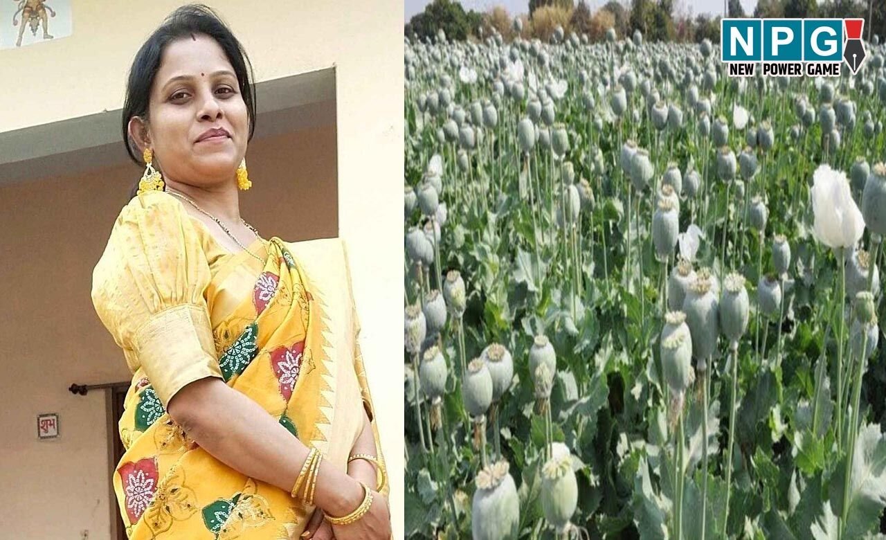 Durg Nilambit News: दुर्ग अफीम की खेती, बड़ा एक्शन, महिला अधिकारी निलंबित, सरकार की कार्रवाई…