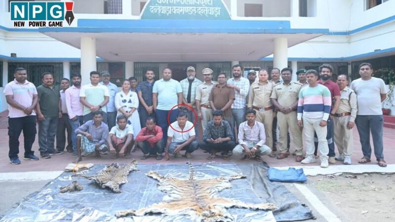 CG News:  डिप्टी रेंजर ही निकला शिकारी, बाघ-तेंदुए की हत्या केस में वन विभाग की बड़ी कार्रवाई, डिप्टी रेंजर समेत 9 आरोपी गिरफ्तार…