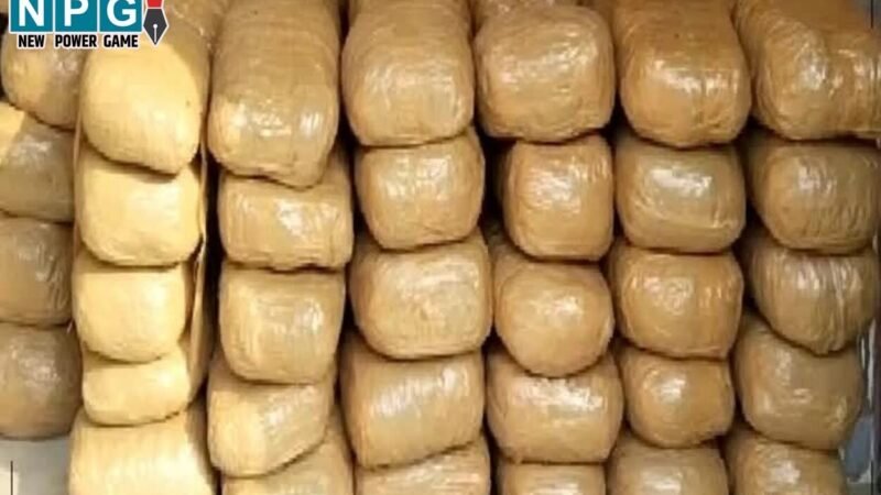 Mahasamund News: 5 करोड़ का गांजा किया गया नष्ट, सुखे नशे पर पुलिस की बड़ी कार्रवाई…