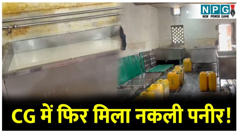 सेहत से खिलवाड़: CG में फिर मिला नकली पनीर! शिकायत के आधार पर खाद्य विभाग ने मारा छापा…
