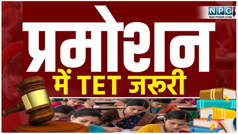 CG Teacher Promotion TET: प्रमोशन में TET जरूरी, वकील ने डीपीआई व सचिव को जारी किया नोटिस, अवमानना याचिका दायर करने दी चेतावनी