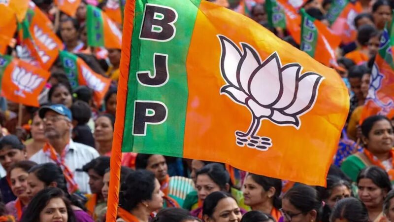 CG भाजयुमो में नियुक्तिः जिला कार्यकारिणी घोषित, इन कार्यकर्ताओं को दी गई अहम जिम्मेदारी…