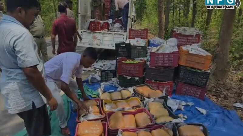 Jashpur News: आम के ट्रे के नीचे था 1.13 करोड़ का गांजा, पुलिस से बचने फिल्मी स्टाइल में तस्करी, जानिए पूरी कहानी