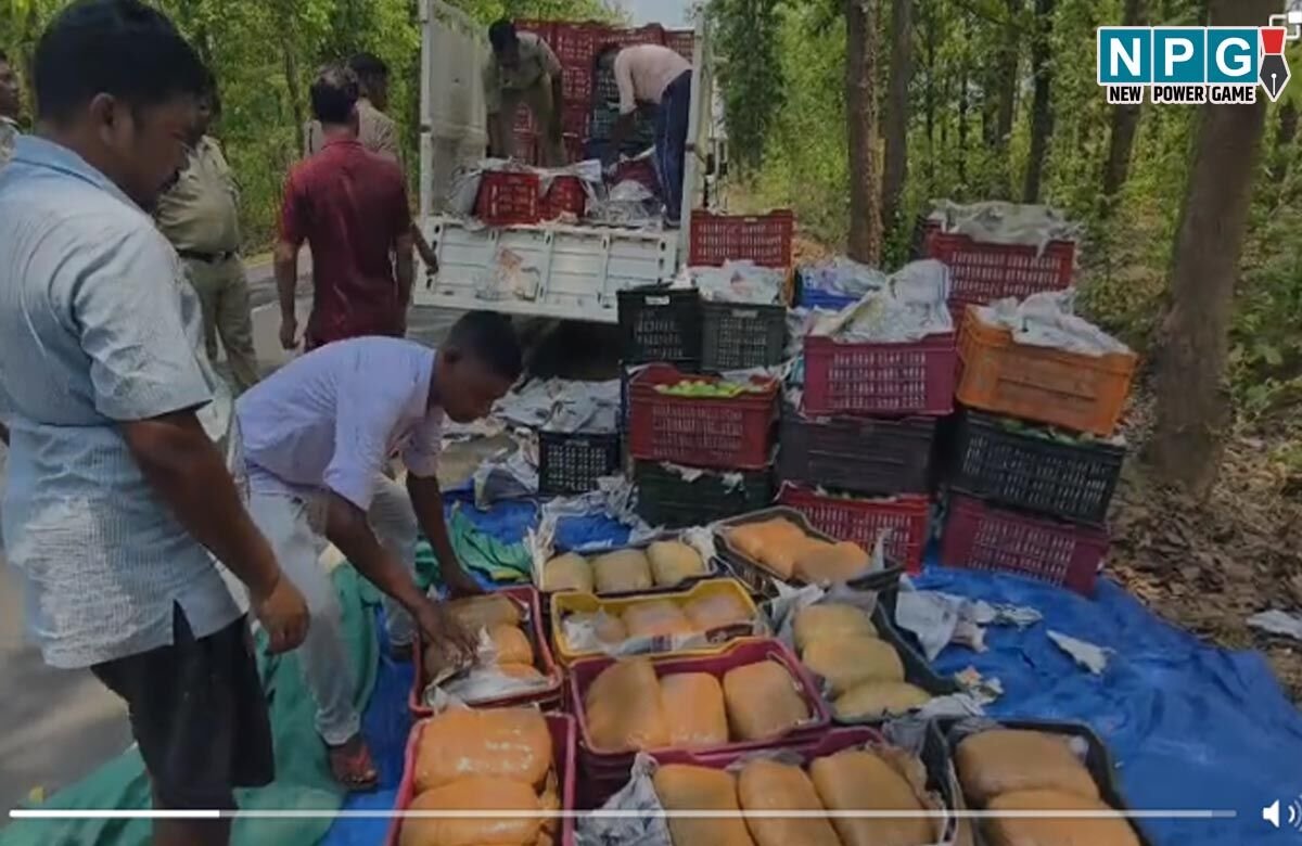 Jashpur News: आम के ट्रे के नीचे था 1.13 करोड़ का गांजा, पुलिस से बचने फिल्मी स्टाइल में तस्करी, जानिए पूरी कहानी