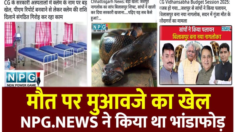 CG News: मौत हुई जहर खाने से , बता दिया सांप ने काटा, ऐसे 15 मामले, अब FIR की तैयारी, गिरोह ने सरकारी खजाने को लगाया 60 लाख का चूना, NPG.NEWS ने किया था भांडाफोड़