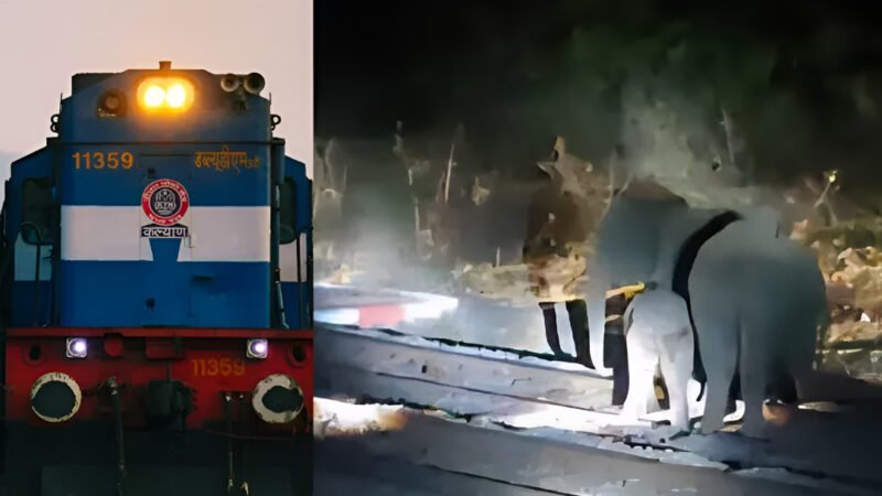 CG News: VIDEO में देखिए मालगाड़ी की चपेट में आया हाथी, गंभीर रूप से घायल, पांच हाथियों का दल मौके पर मौजूद
