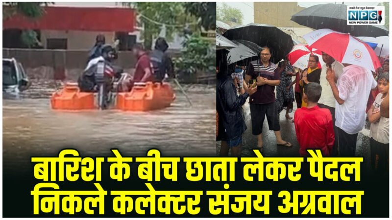 CG News: बारिश के बीच छाता लेकर पैदल निकले कलेक्टर संजय अग्रवाल, नगर निगम आयुक्त प्रकाश सर्वे, मोहल्लों में चली नाव, SDRF की तैनाती