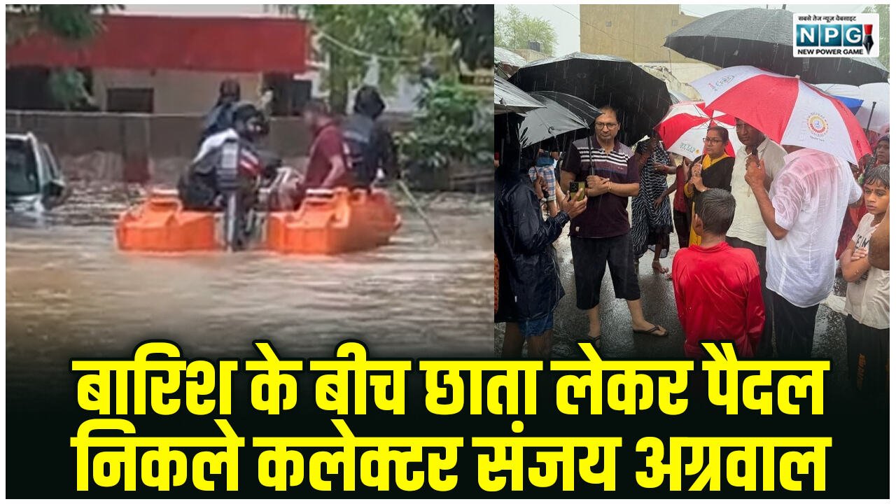 CG News: बारिश के बीच छाता लेकर पैदल निकले कलेक्टर संजय अग्रवाल, नगर निगम आयुक्त प्रकाश सर्वे, मोहल्लों में चली नाव, SDRF की तैनाती