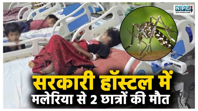 सरकारी हॉस्टल में मलेरिया से 2 छात्रों की मौत, 11 बच्चे मिले पॉजिटिव… छत्तीसगढ़ के इस जिले में मलेरिया का प्रकोप