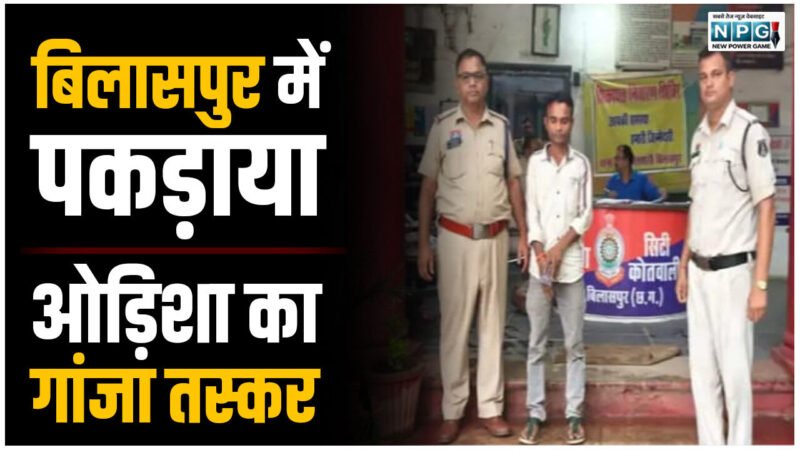 CG Crime News: CG बिलासपुर में पकड़ाया ओड़िशा का गांजा तस्कर, गांजा का बड़ा खेप लेकर आया था
