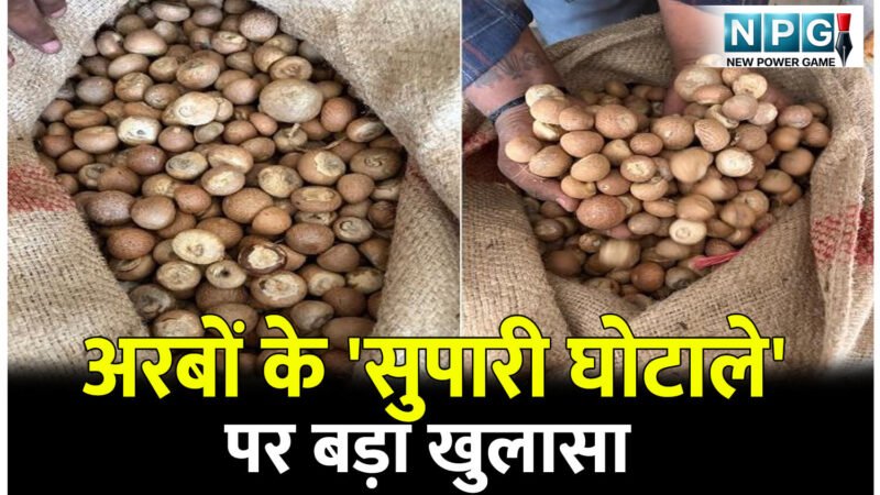 अरबों के 'सुपारी घोटाले' पर बड़ा खुलासा: SAFTA नियम ताक पर रखकर देश को लगाया 2,500 करोड़ का चूना, 9 दबोचे गए