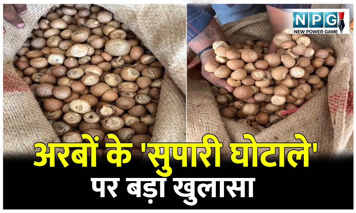 अरबों के 'सुपारी घोटाले' पर बड़ा खुलासा: SAFTA नियम ताक पर रखकर देश को लगाया 2,500 करोड़ का चूना, 9 दबोचे गए