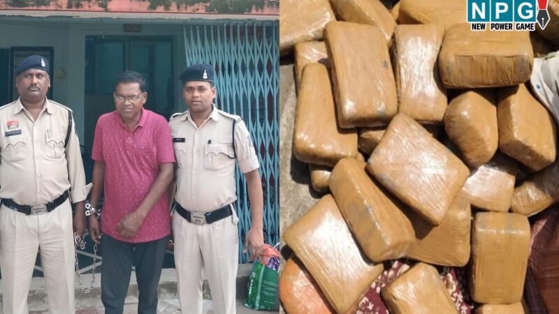 CG 1 करोड़ का गांजा मामले में बड़ी कार्रवाई, रायपुर पुलिस ने ओडिशा में छापा मारकर सप्लायर को धर-दबोचा…