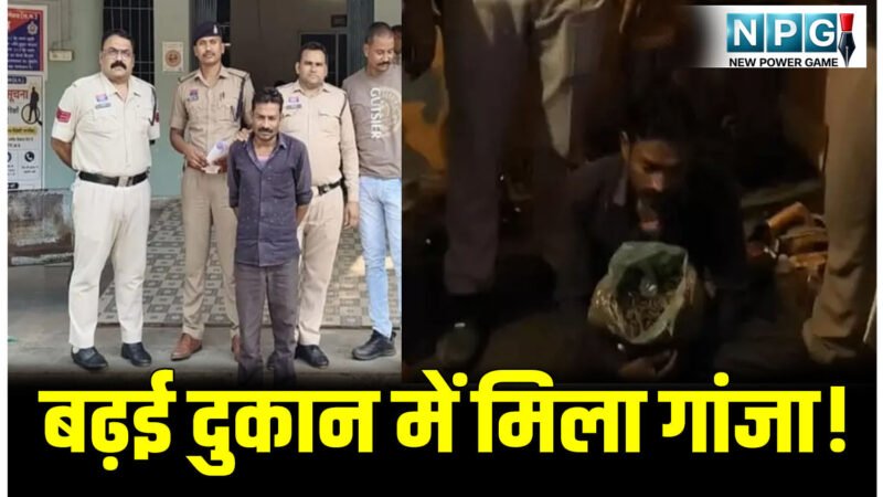 CG Crime News: कंडे के ढेर के बाद अब बढ़ई दुकान में मिला गांजा! पैडलर्स की बढ़ती संख्या और तस्करी के तरीके से हैरान है पुलिस