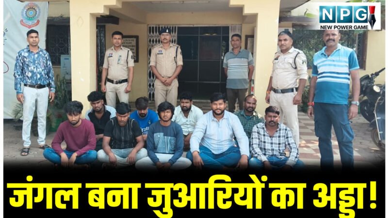 CG Crime News: जंगल में बिलासपुर, बलौदाबाजार और जांजगीर जिले के जुआरियों का अड्डा! कैश, कार और मोटरसाइकिल जब्त