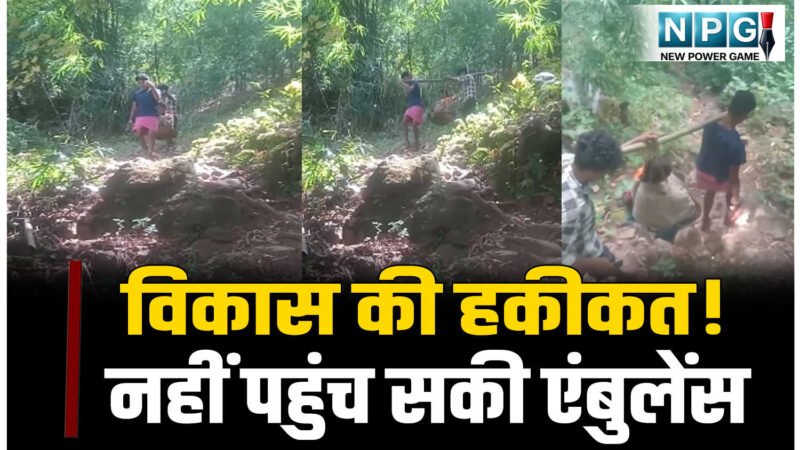 विकास की हकीकत! नहीं पहुंच सकी एंबुलेंस, बीमार महिला को इस तरह ले जाने पर मजबूर हुए ग्रामीण….