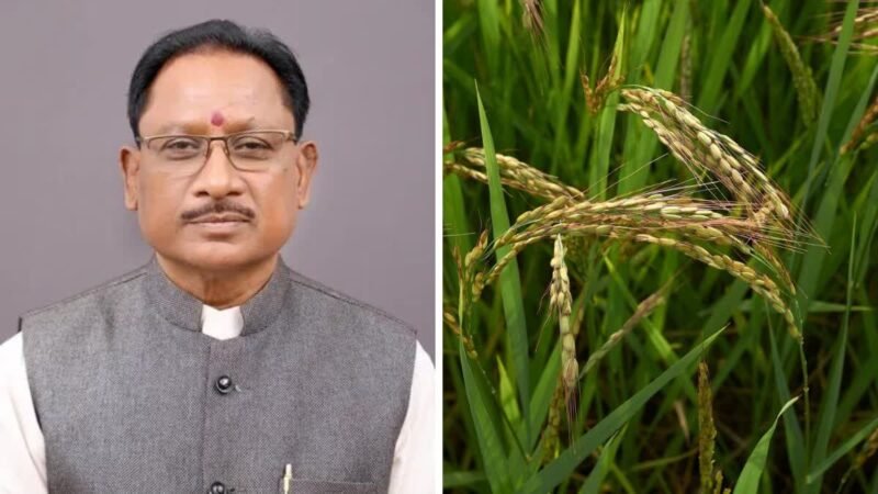 CG Paddy News: 3100 का संयोग: धान खरीदी को लेकर सरकार का बड़ा फैसला, पढ़िए इस बार धान खरीदी में क़्या है 3100 का संयोग